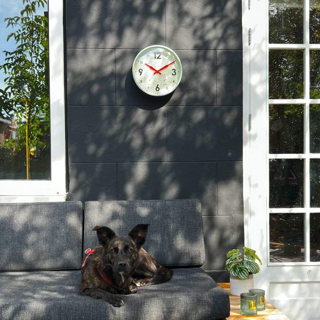 Outdoor analog wall clock Cloudnola